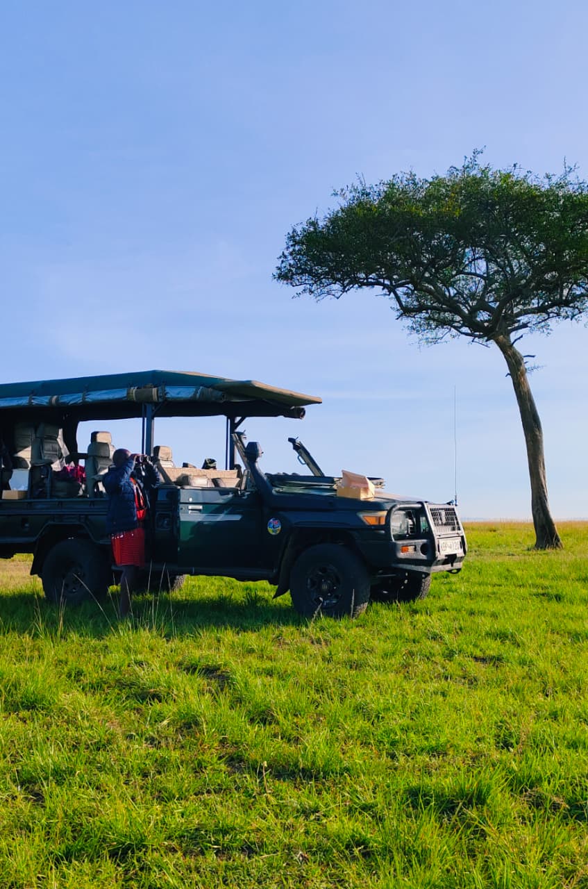 Safari car hire fleet Labui Maasaimara